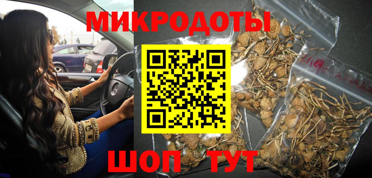 Псилоцибиновые грибы прущие грибы Чебоксары